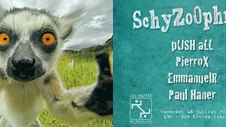 SchyZoOphrénic #10