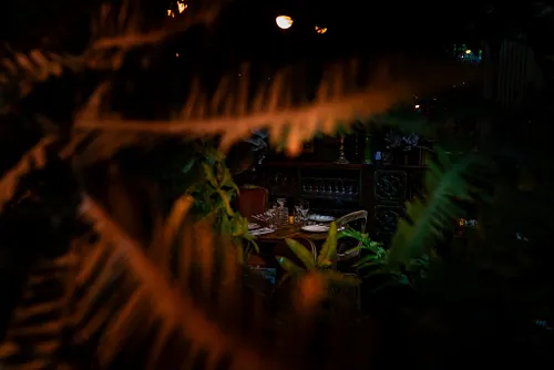 Jungle Palace Restaurant Paris