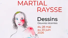 Exposition Martial Raysse, Dessins : Oeuvres récentes