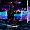 Under the sea