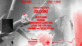 DISMAL? : LOUIS THE 4TH, ARRABIATA B2B IN-TAN, NOCTURNE