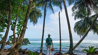 Exposition « Palm » de Matt Henry