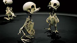 Daft Ducks are back from the dead