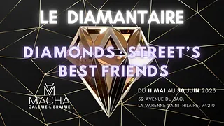 Exposition du Diamantaire DIAMONDS : STREET’S BEST FRIENDS chez Macha Galerie