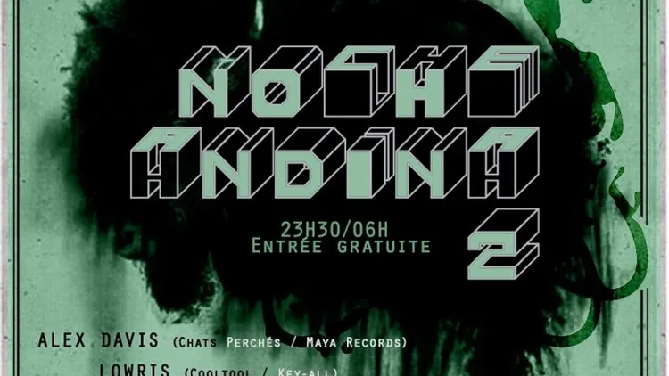 Noche Andina