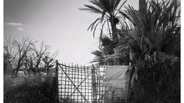 Vernissage de l'exposition "Behind and Beyond" de Ana Bloom