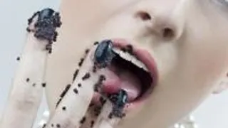Crazychicparis