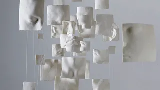 Découvrez "Aux Frontières de l'Humain" au Musée de l'Homme !