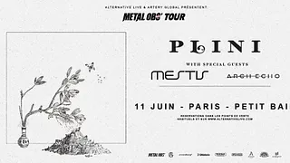 PLINI