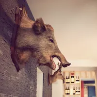 La Chasse Gardée