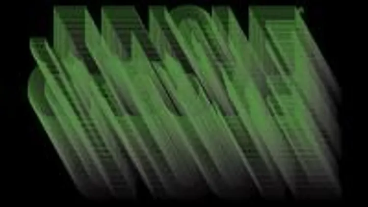 Jungle Groove