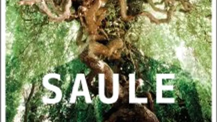 Saule + 1ère partie