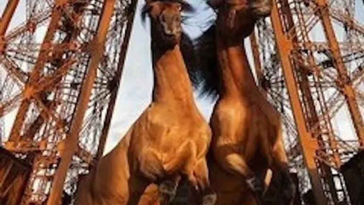 Expo Paola Pivi : Yee-Haw