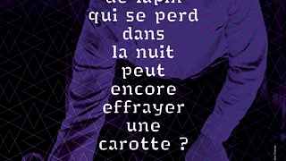 Est-ce qu'un cri de lapin qui se perd dans la nuit peut encore effrayer une carotte ?