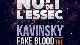 NUIT DE L'ESSEC 2013 presents Kavinsky - Fake Blood - The Supermen Lovers - Jupiter - Baadman
