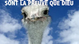 Les Wampas en concert