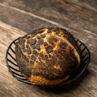 Lava