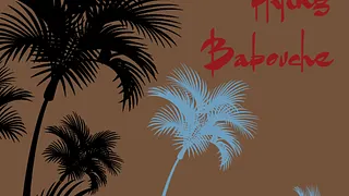 Flying Babouche (Future Funk / House)