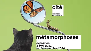 Métamorphoses