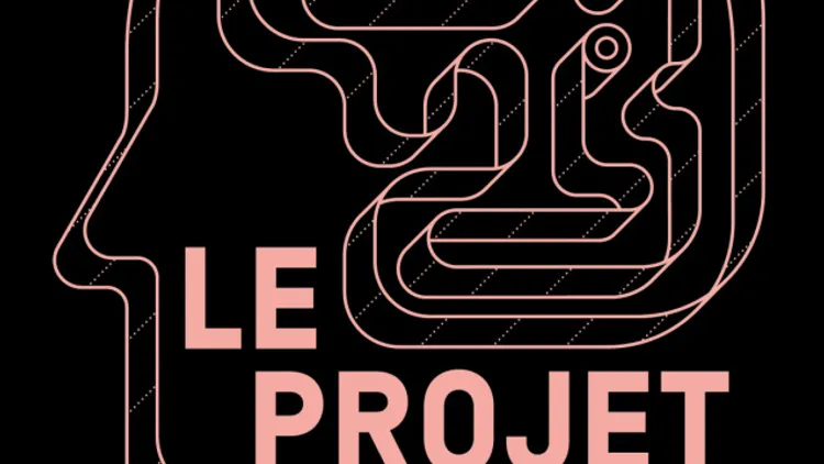 Le Projet Au Fil D'un Burn Out Organisé