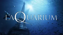L'aQuarium