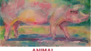 ANIMAL
