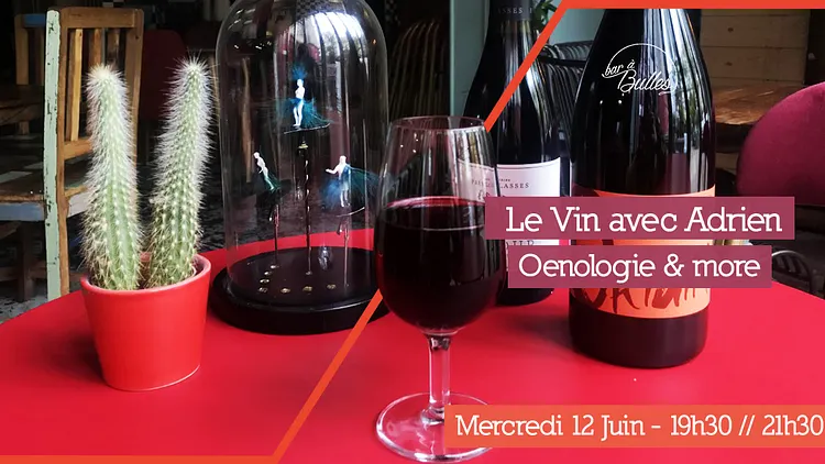 Le Vin avec Adrien - Oenologie & more