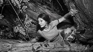 Catherine Ringer