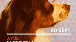In Dog We Trust 001