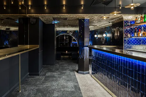 Sauvages Bar Paris
