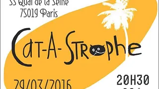 Cat-A-Strophe!