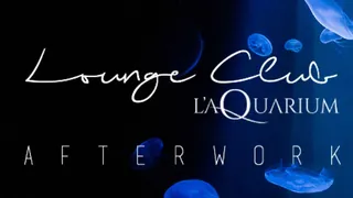 AFTERWORK LOUNGE CLUB DE L'AQUARIUM