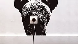 Exposition Animal