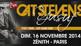 Cat Stevens en concert