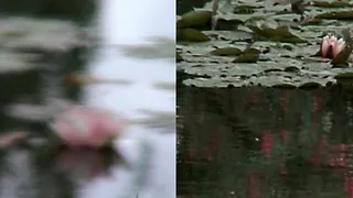 Ange Leccia · (D') Après Monet