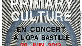 Primary Culture en concert