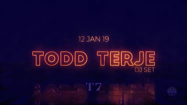 T7 : Todd Terje