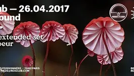 Overground w/ Popof extended set, Sacré Coeur