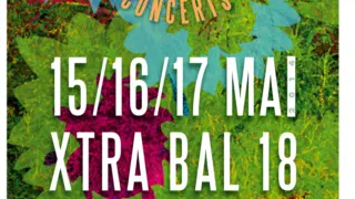 Festival, TROIS, 6, NEUF, 6 ème édition