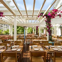 Brasserie Auteuil