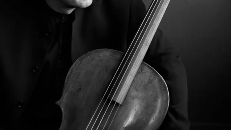 Suites pour violoncelle, Pieter Wispelwey