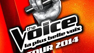 The Voice Tour 2014