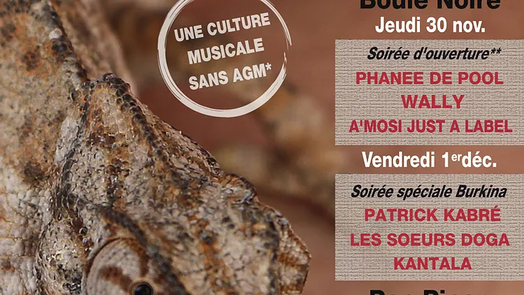 Only French Festival (Dakar by night)