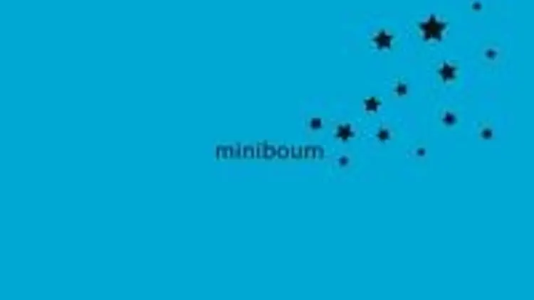 Miniboum