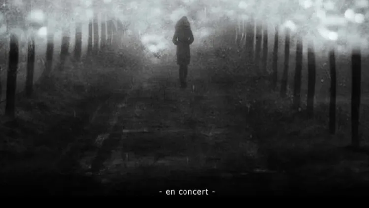 Annulé - Mercury Rev en concert