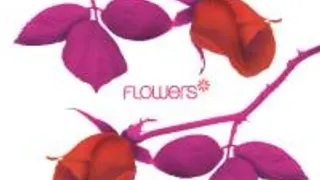 Flowers N°2