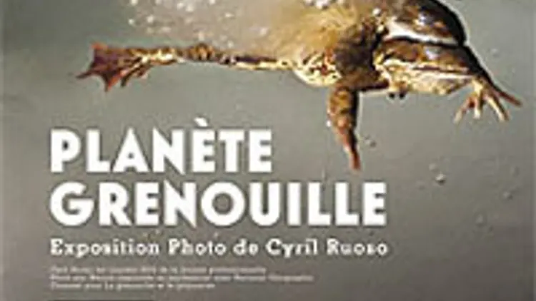 Photo par Nature - Planète Grenouille