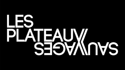 Les Plateaux Sauvages Théâtre Galerie d'art Paris