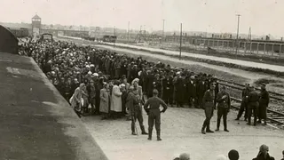 Les génocides du XXe siècle