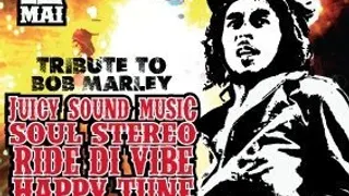 JAMAICAN PARTY # 5 + TRIBUTE TO BOB MARLEY